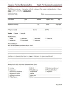 Psychosocial Assessment Template