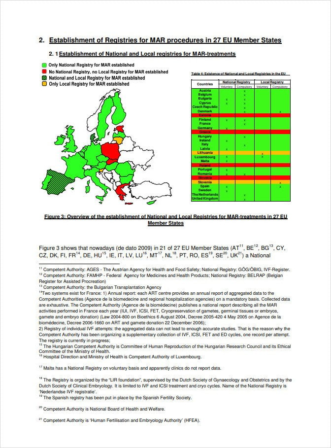 Competitive Analysis Report Example