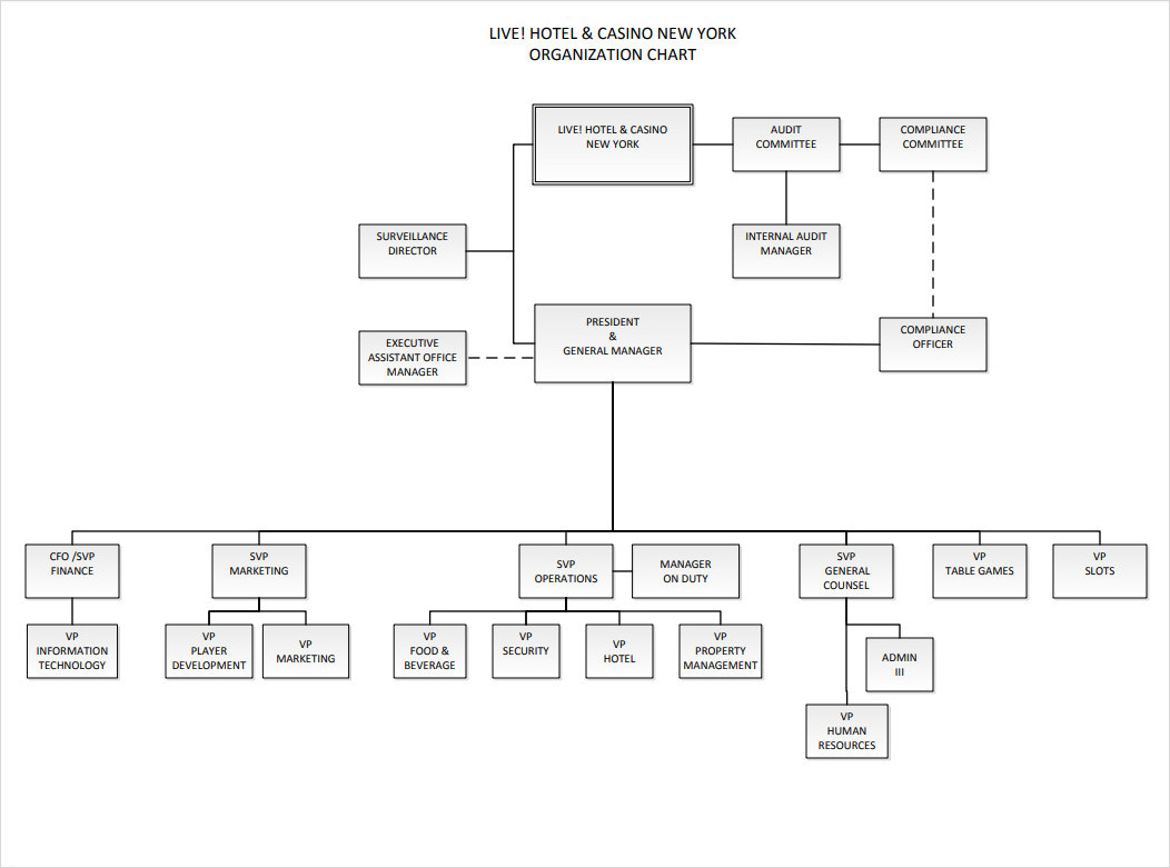 Completed Organizational Chart Template