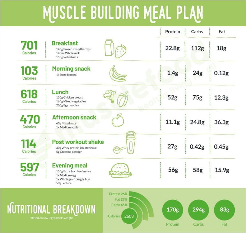 Fast Metabolism Diet Proper Meal Plan Template