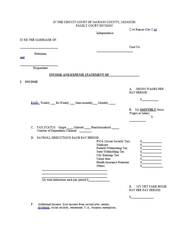 Income and Expense Ledger 25