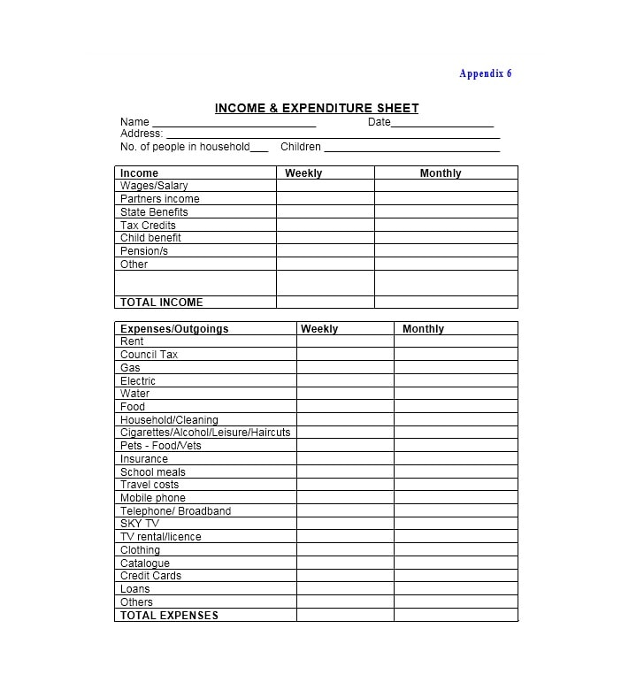 Income and Expense Ledger 28