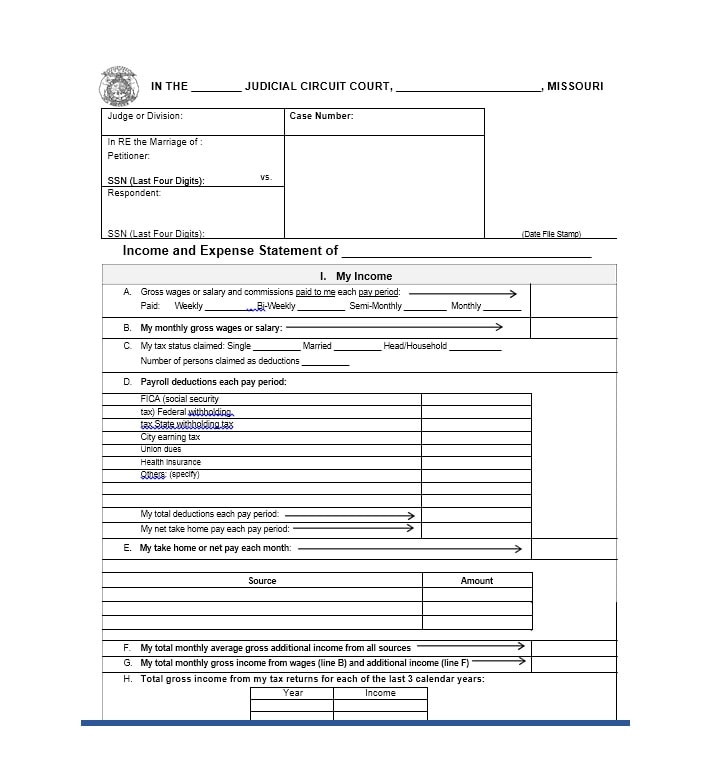 Income and Expense Ledger 29