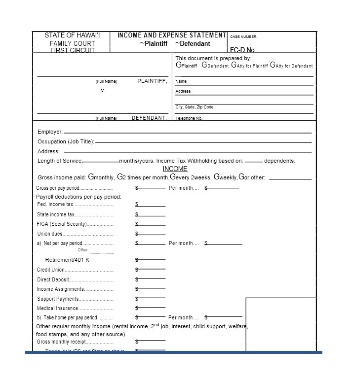 Income and Expense Ledger 31