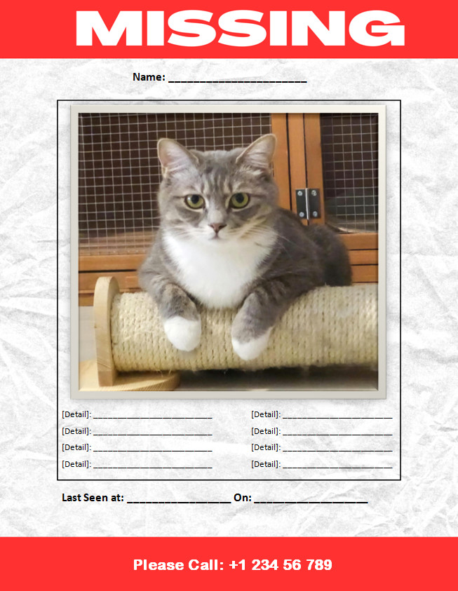 Editable missing cat poster template with customizable details for finding lost cats