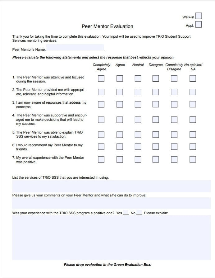 Peer Mentor Evaluation Form