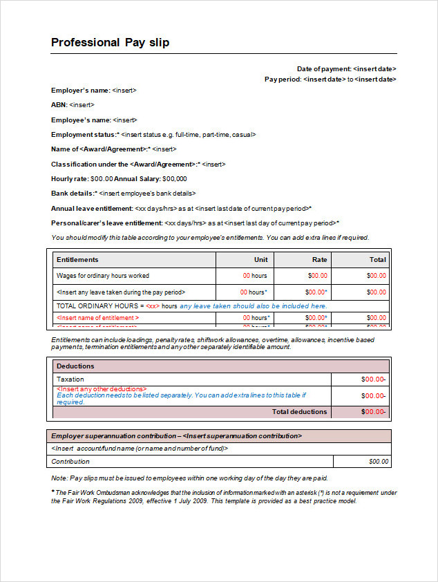 Professional Payslip Template