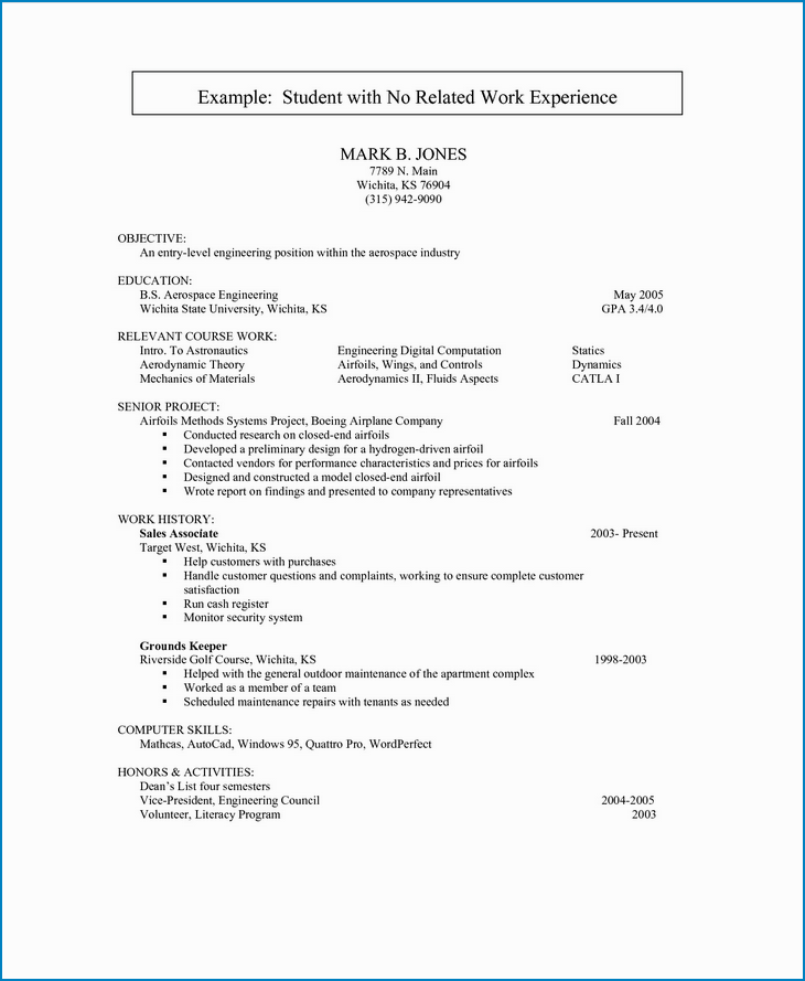 Resume Template with No Work Experience Sample