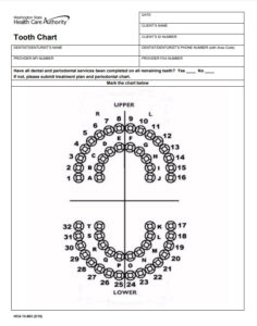 Printable Dental Chart Template