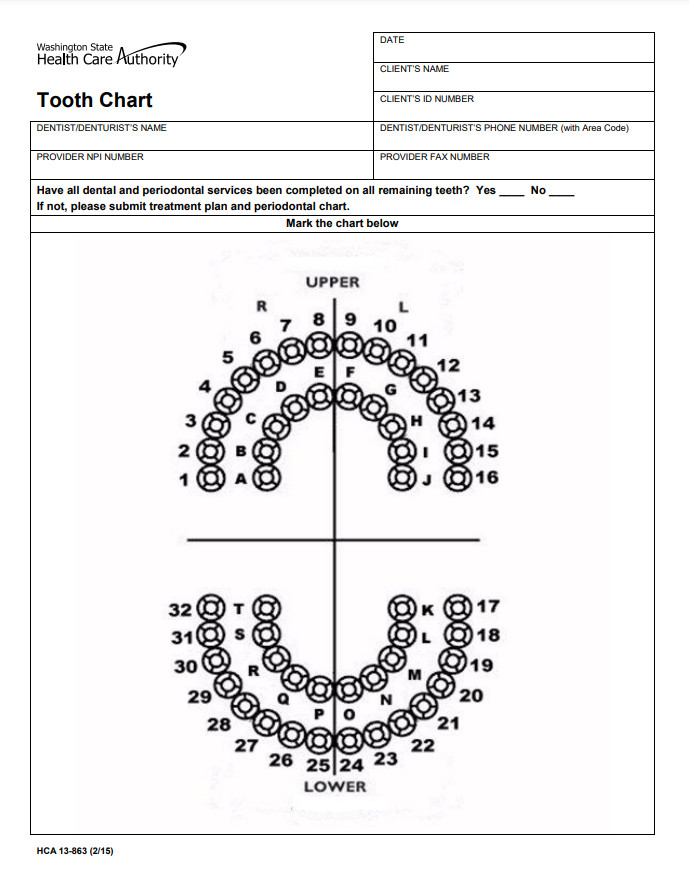 Teeth Chart Template