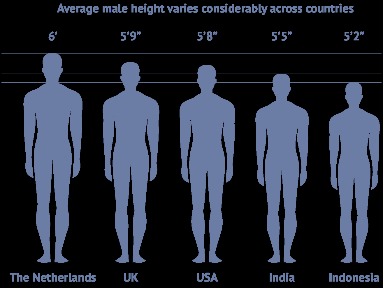 sample height chart template