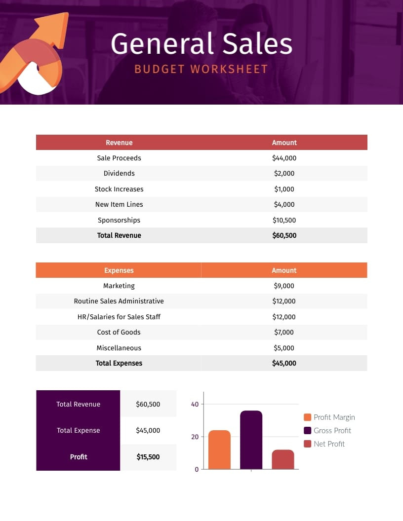 sample sale budget template