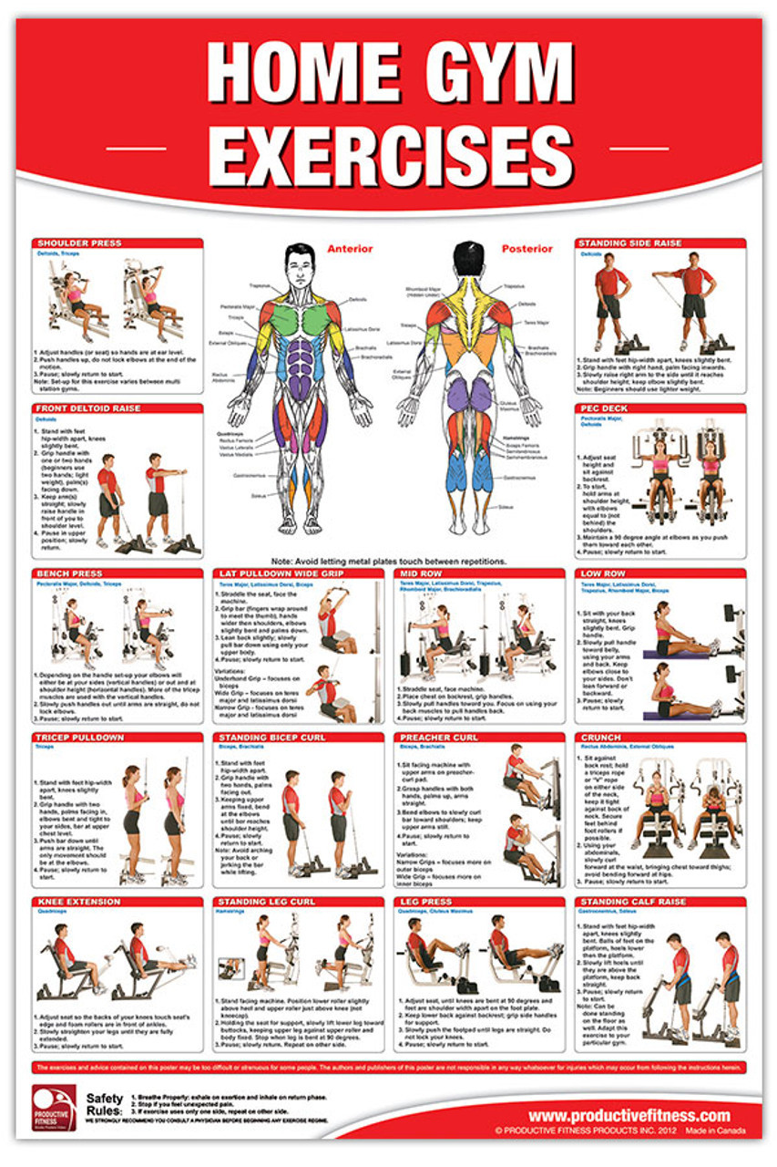 sample exercise chart template