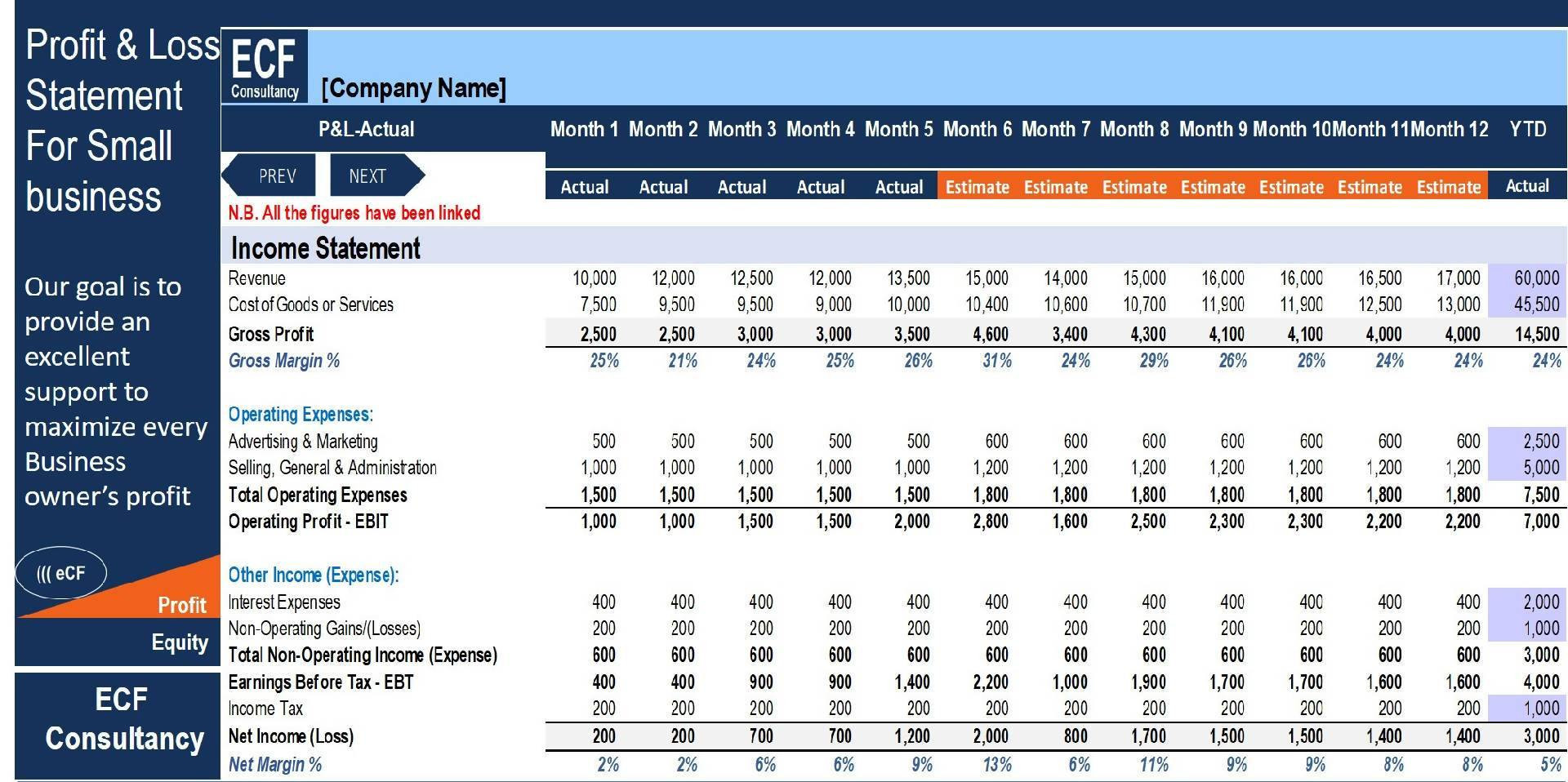 sample monthly profit and loss template