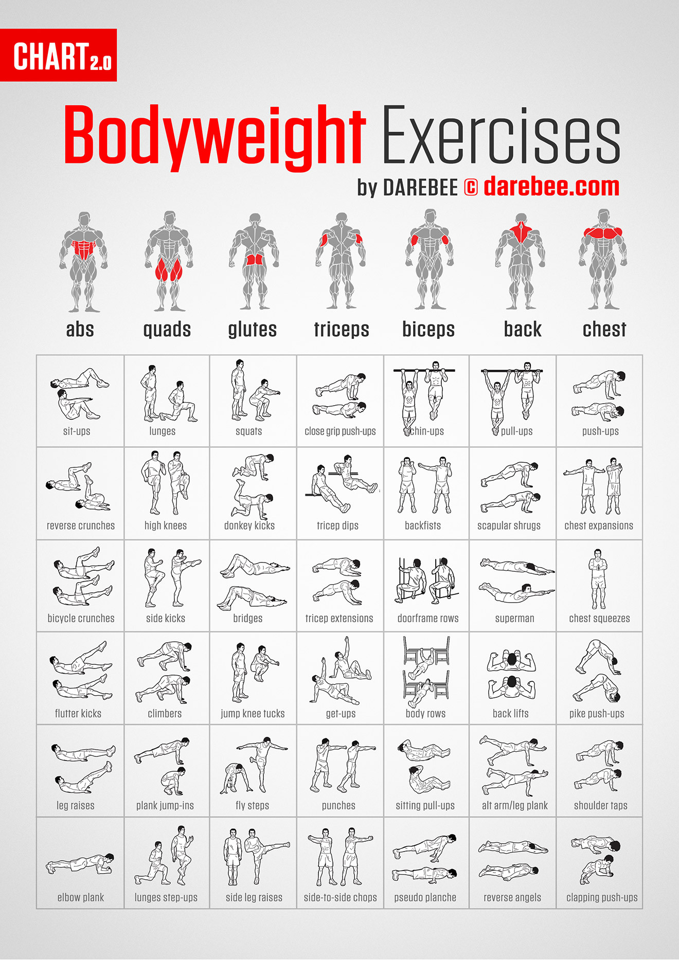 sample exercise chart template