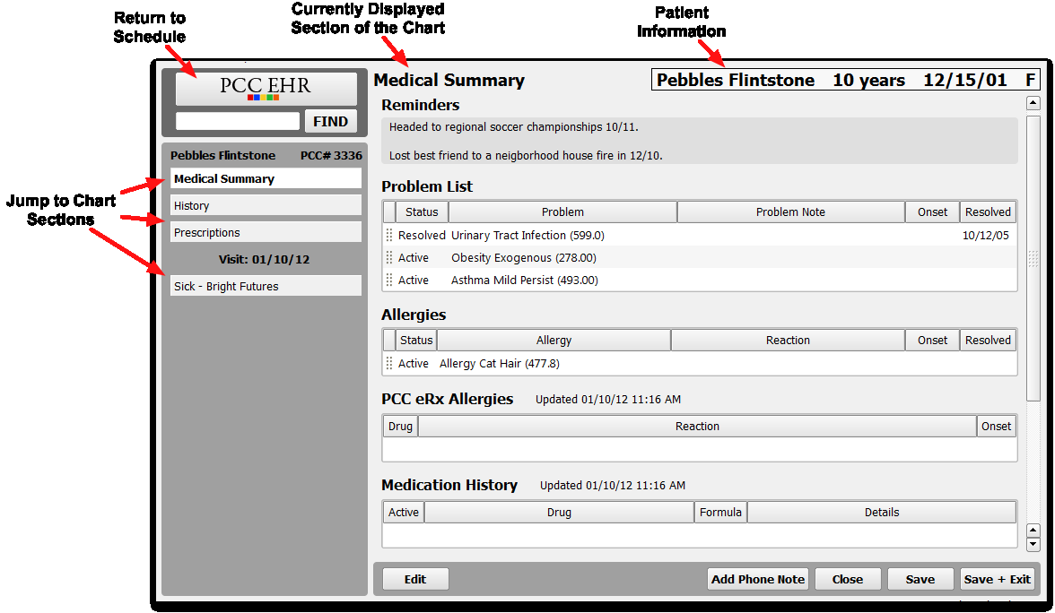 sample patient chart template