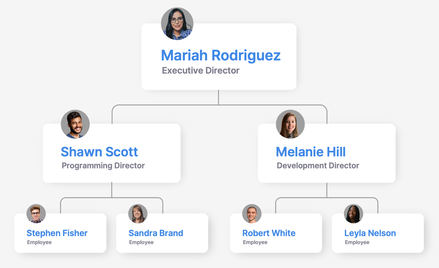 sample nonprofit organization chart template