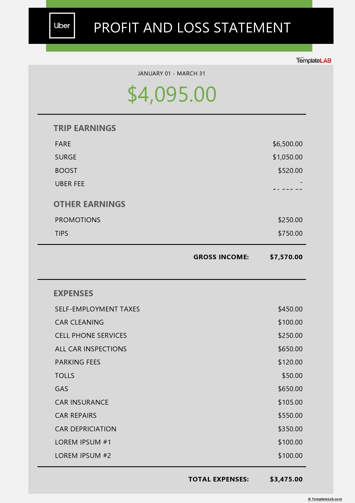 sample year to date profit and loss statement template