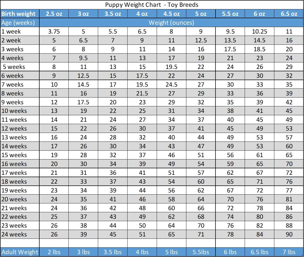 sample puppy weight chart template