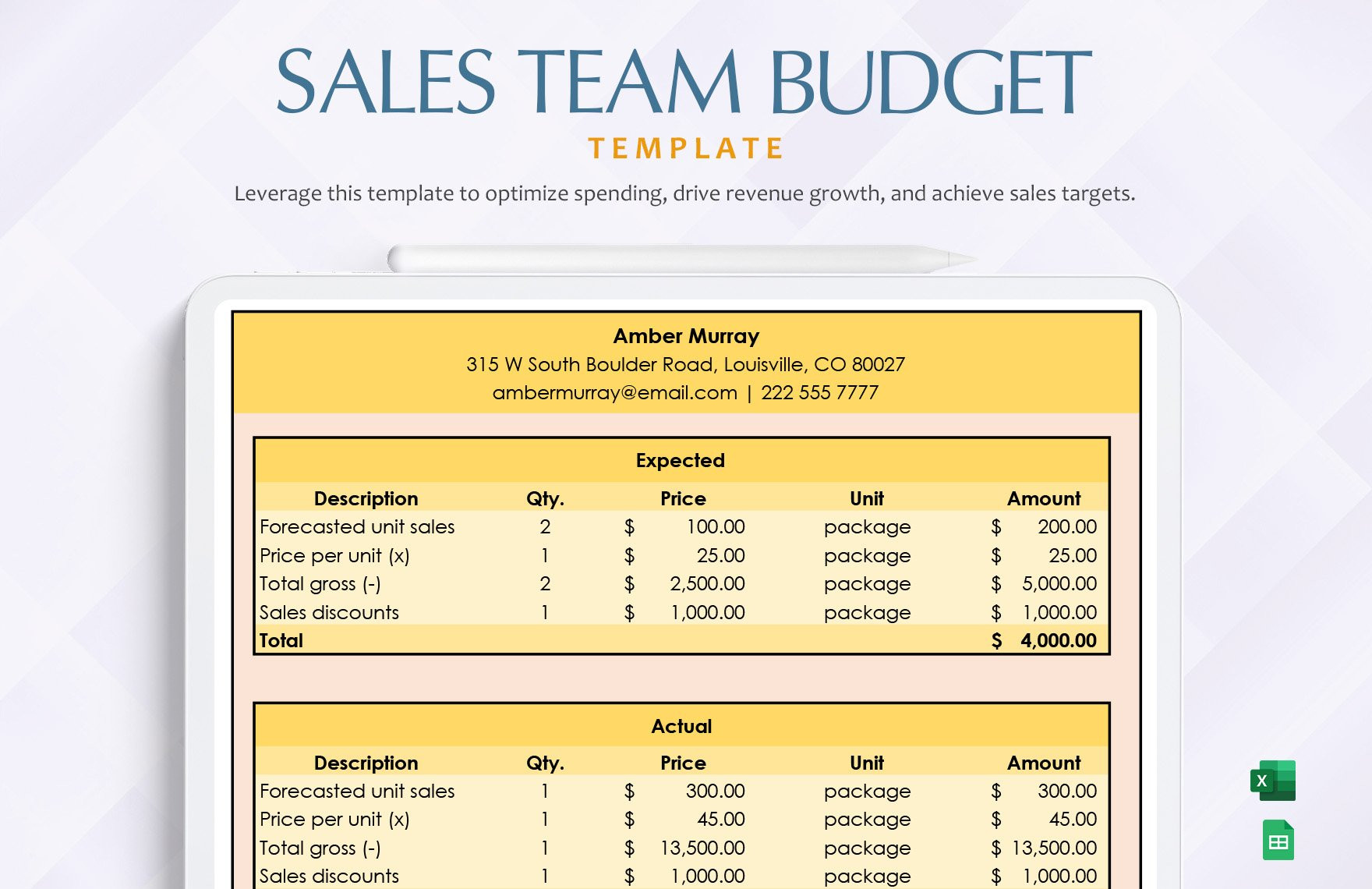 sample sale budget template