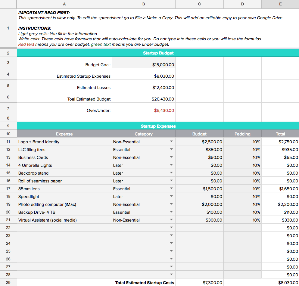 sample budget template for startup business