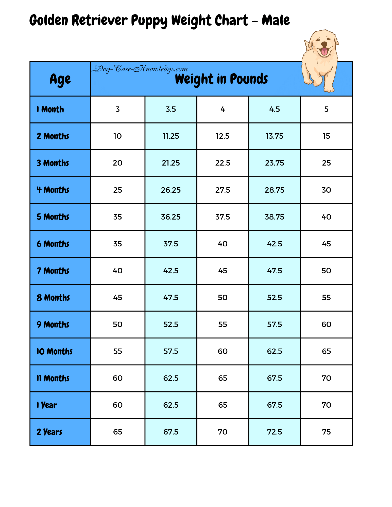 sample puppy weight chart template